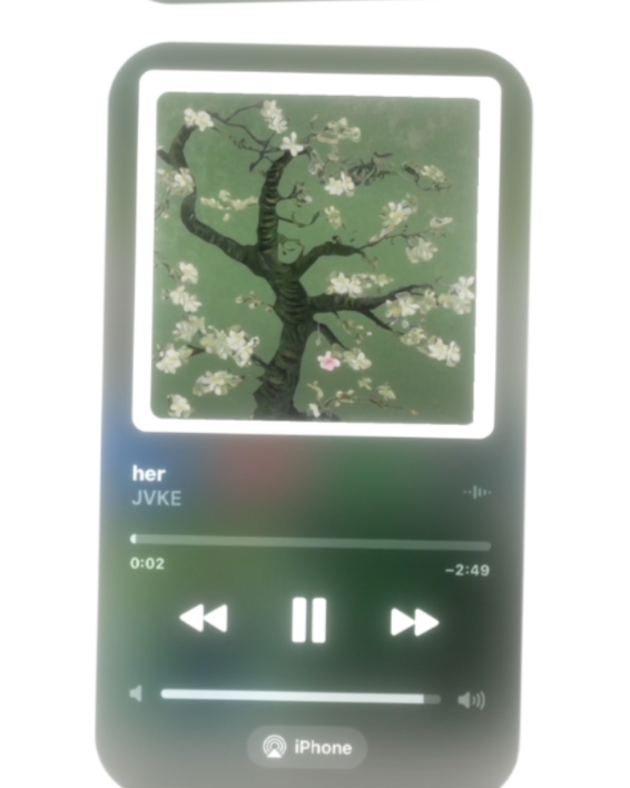 Cover Picture