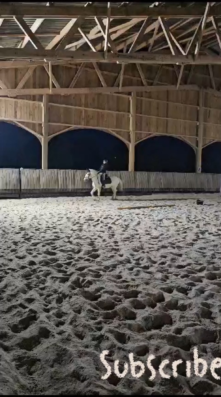 Votre racé préféré ❤️