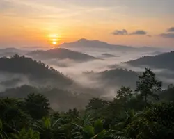 The Land of Endless