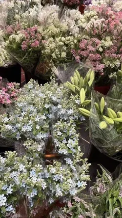 sesungguhnya dia ada