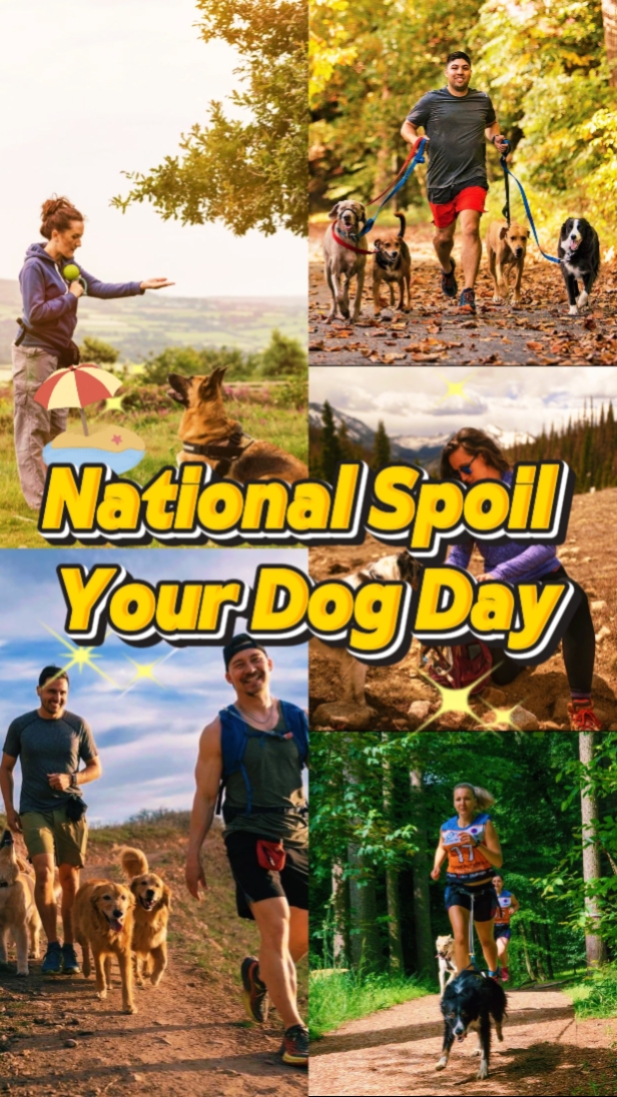 Spoil Your Dog Day 
