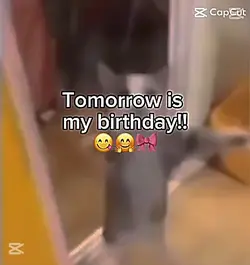 My birthdays tm