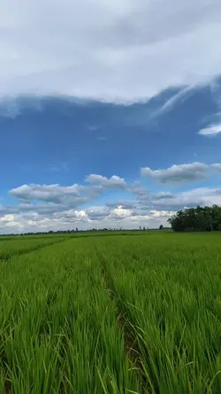 1 vidio HD