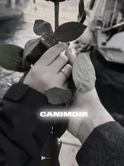 Keşfet yeni şablon