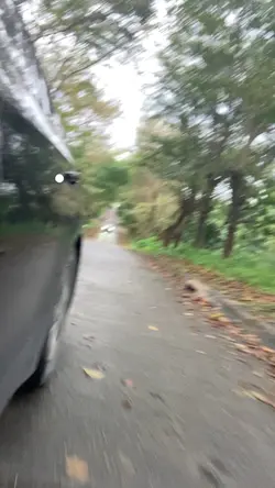 Road trip