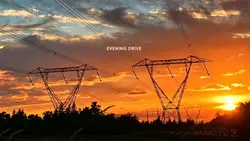 Evening Drive