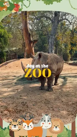 Day at the zoo