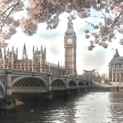 𝐌αყᑲᥱ          . 