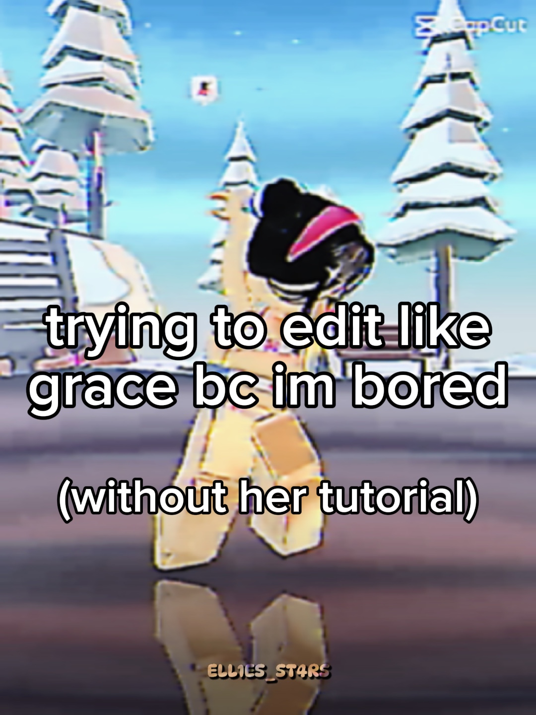 DID I SUCCEED
