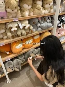 november camera roll