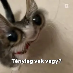 nem látod?