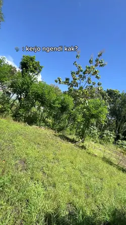 KERJA NGENDI KAK?