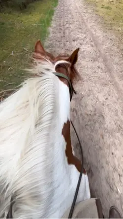 Smooth Slowmo 