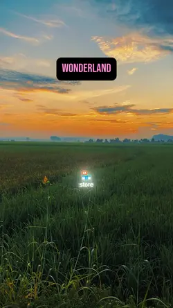 Wonderland