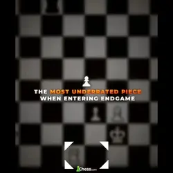 Chess Edit