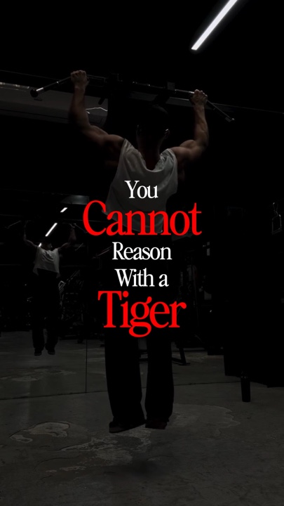 Reason with a TIGER 