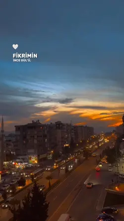 Fikrimin İnce Gülü