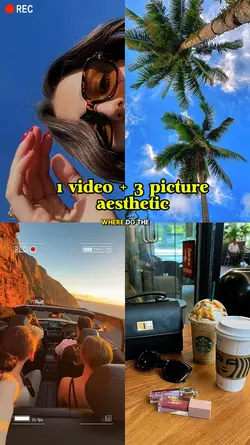 1 video + 3 picture