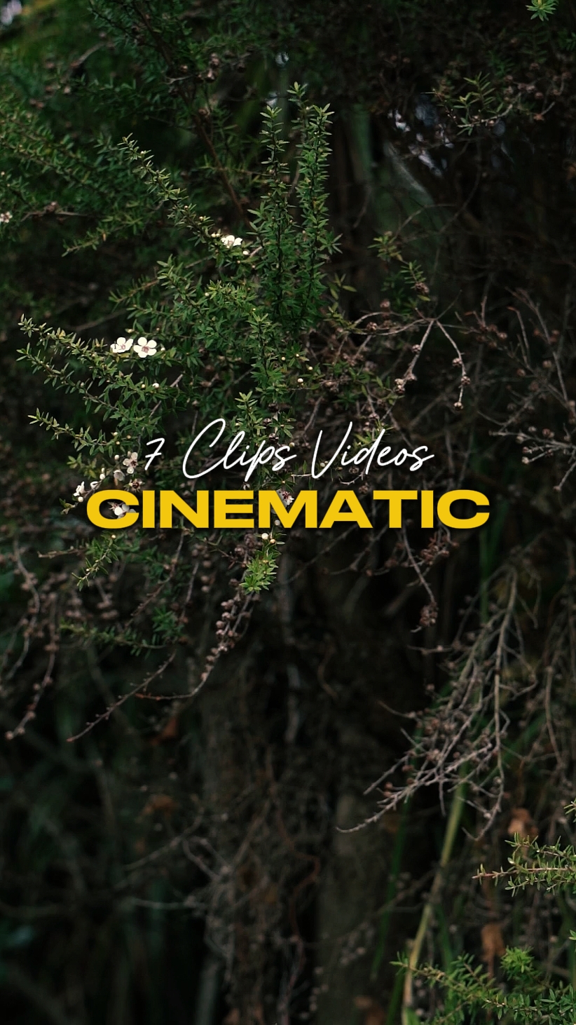 CINEMATIC 7 VIDEOS
