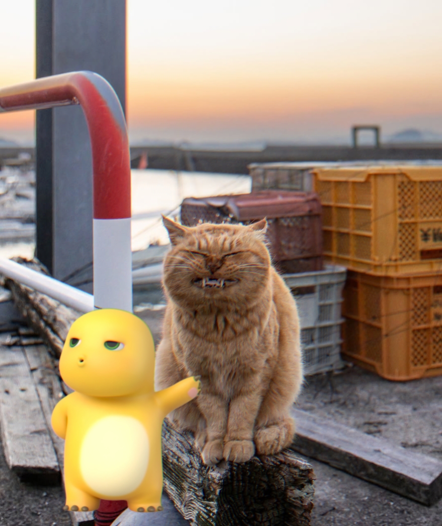 this is my cat