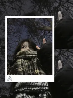 Khung 1 ảnh + màu