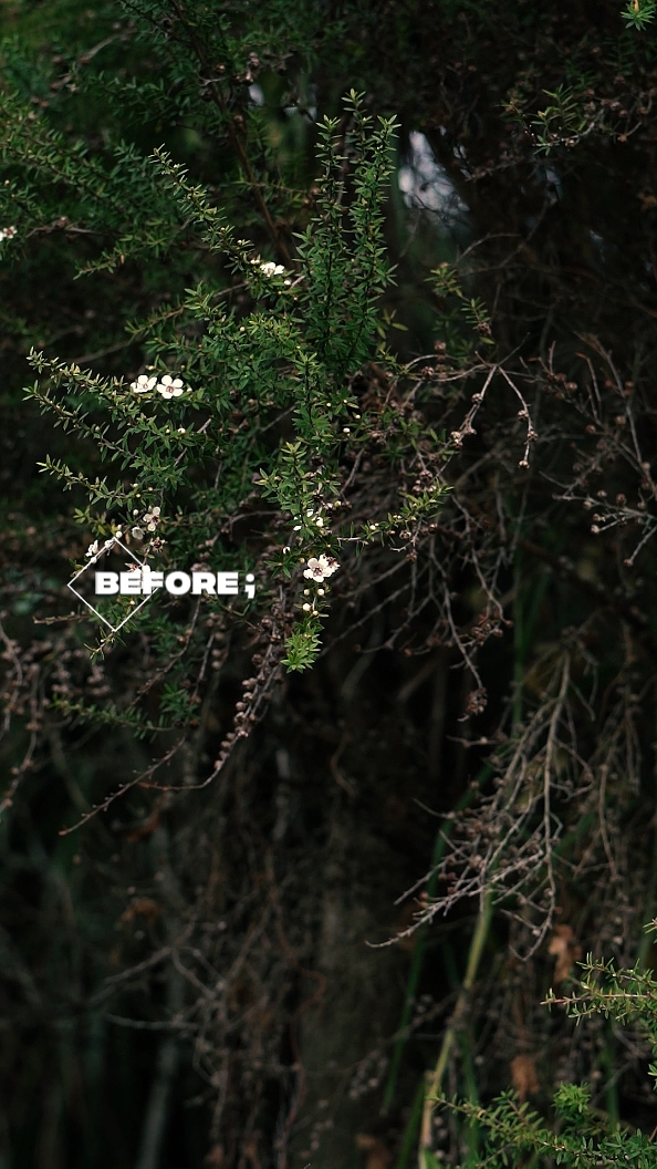 Before Vs After 