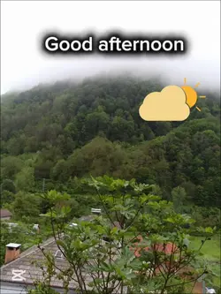 Good afternoon
