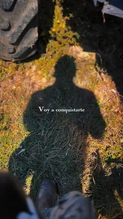 voy a conquistarte