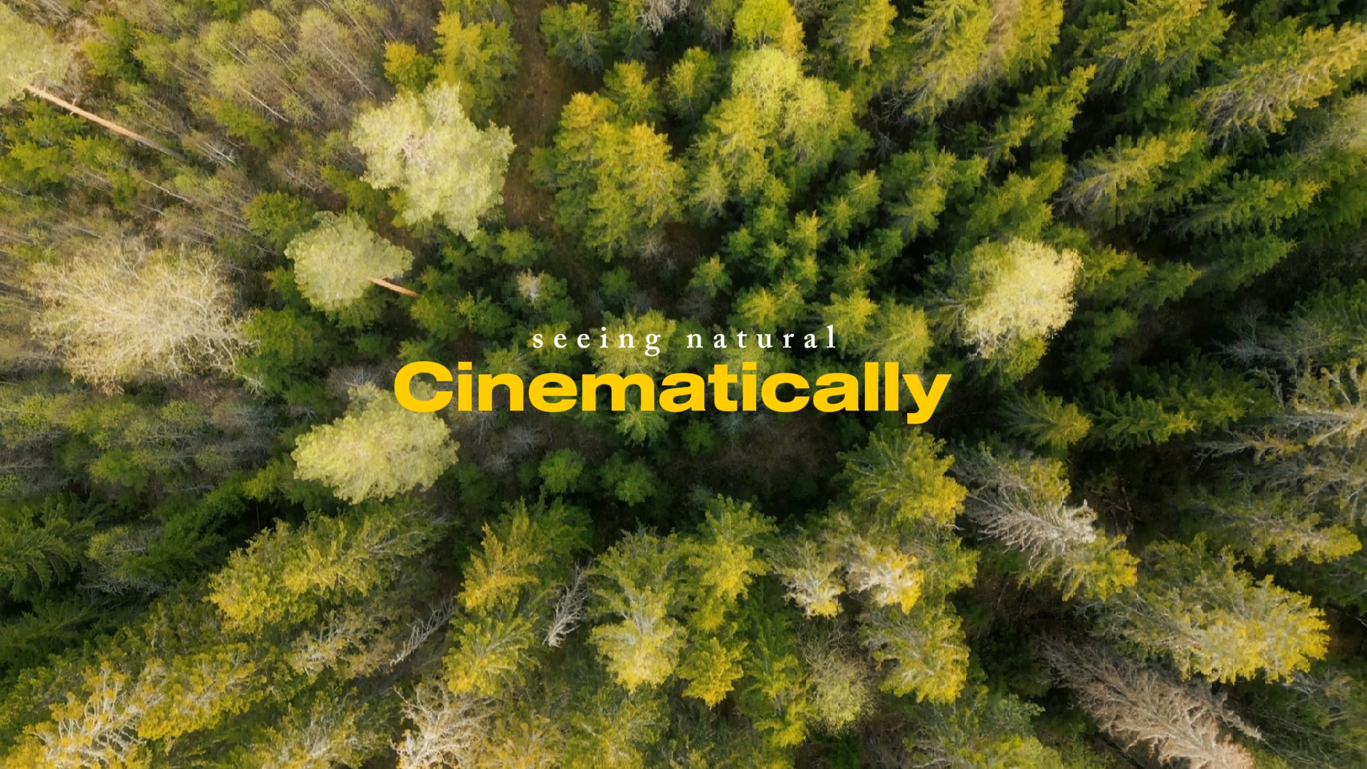 Nature cinématographique