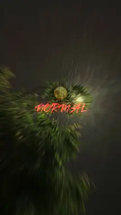 Nicht normal - LEØ 🎶