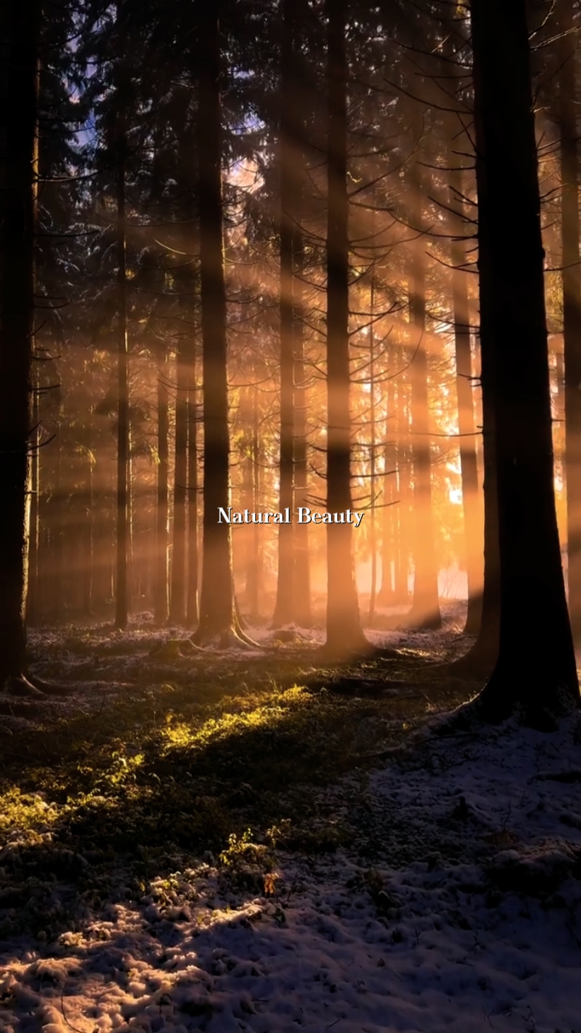 Natural Beauty