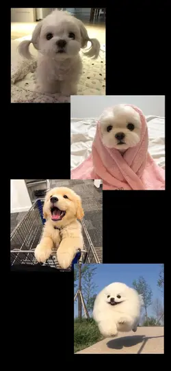 최고의 ㅁㅁㅁ는 누구?