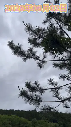 今日の天気