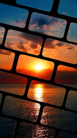 5 amazing photos