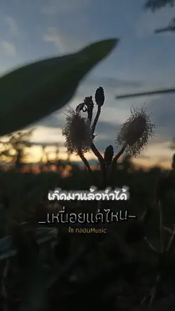 เหนื่อยแค่ไหน