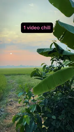 1 video chill