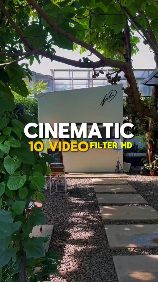 NO NO NO CINEMATIC