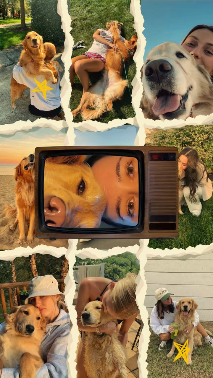 J'aime mon chien