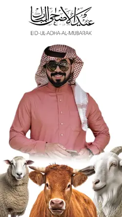 New Qurbani Template