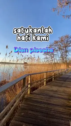 disini setahun yll