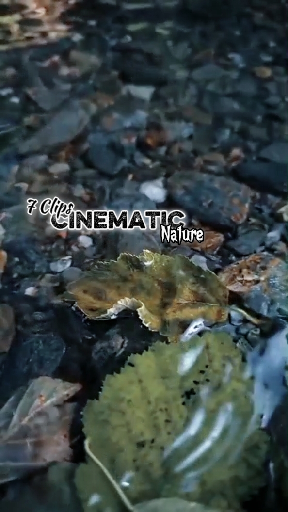 Cinematic 7 Clips 