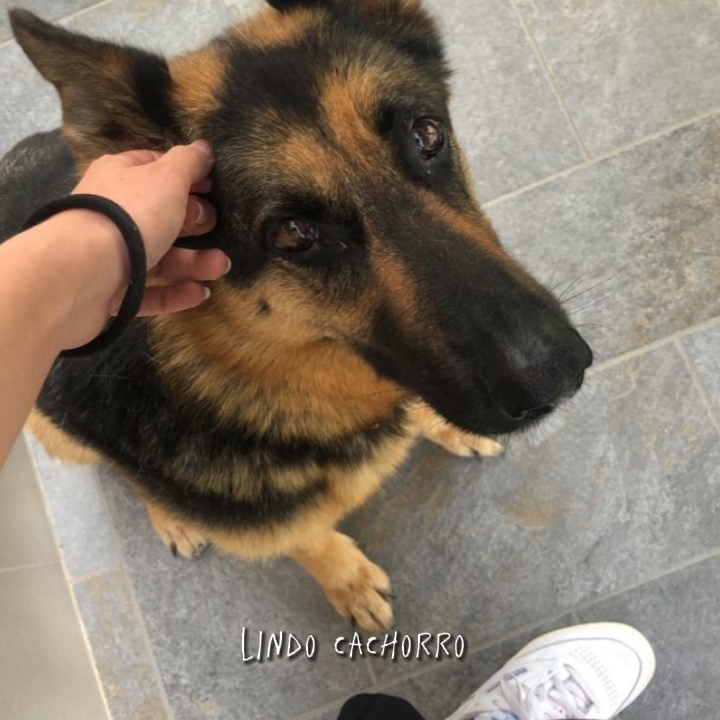 güzel çocuk < 3