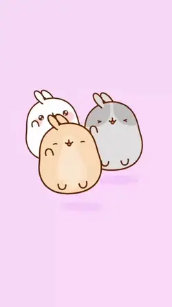 Molang meow mauw