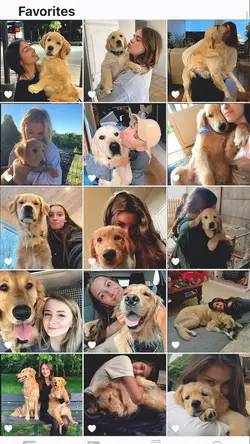 My Dog