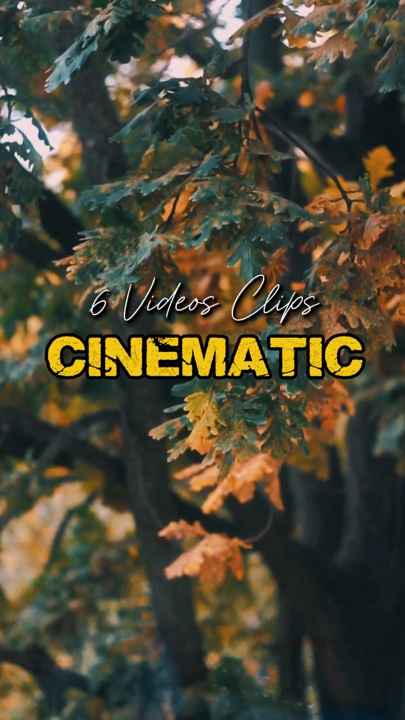 Cinématique 6 Vidéos 