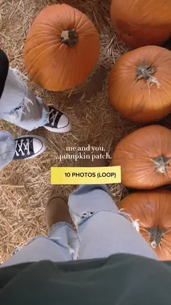 We fell in love in..