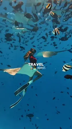 Travel moments ✨