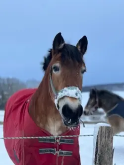 Snow day Vlog ✨❄️💋