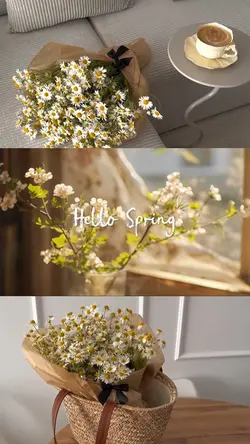 Hello Spring