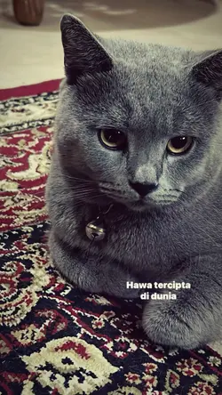 Dua sejoli - Dewa 19